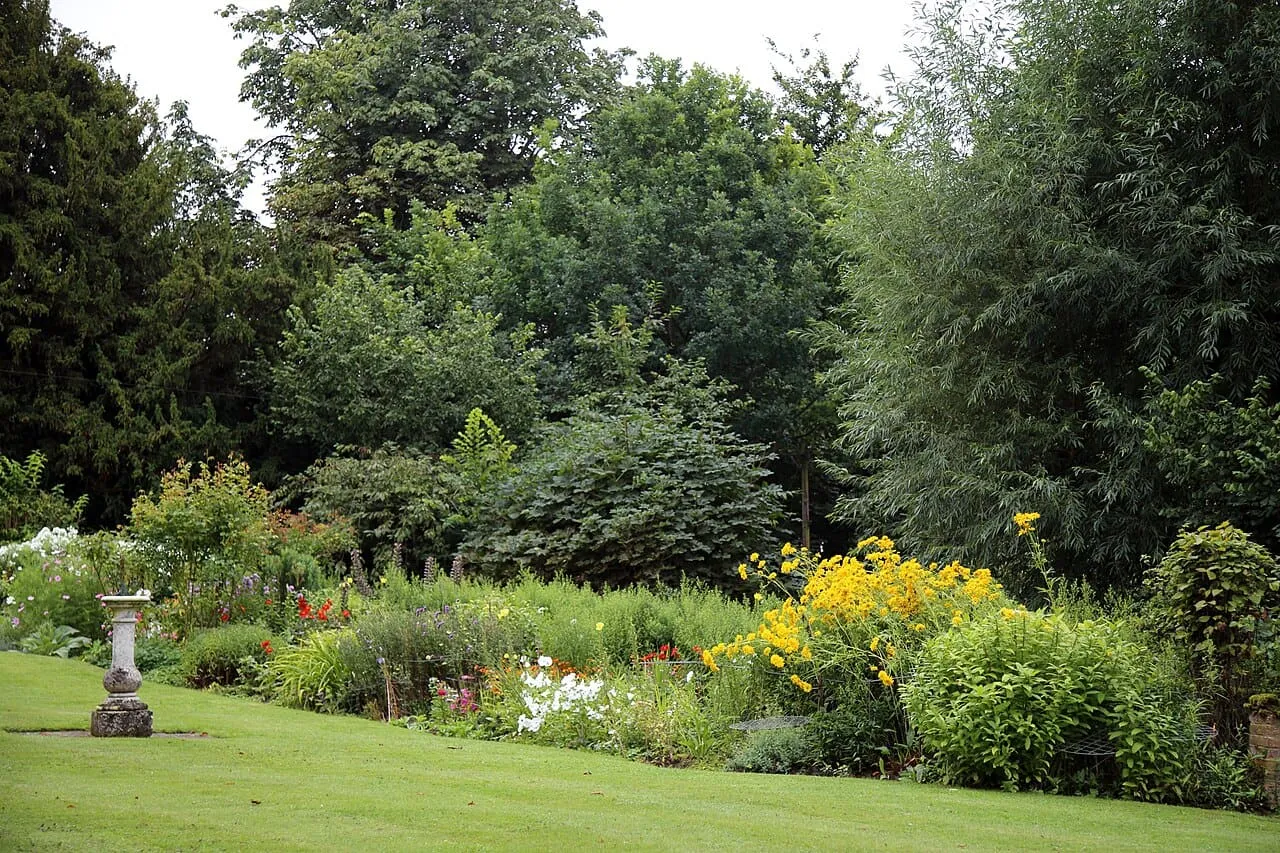 A mixed garden border of shrubs and perennials in front of a clipped hedge.