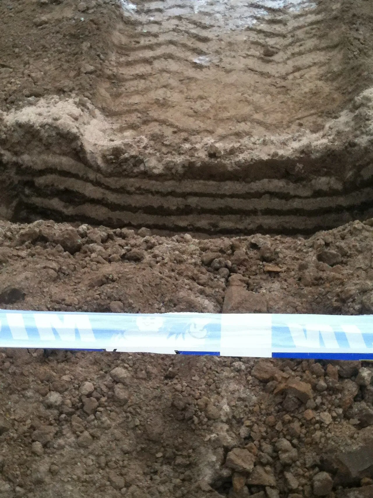 Bare, hard-packed soil surface showing a compacted layer with no visible structure or plant growth.