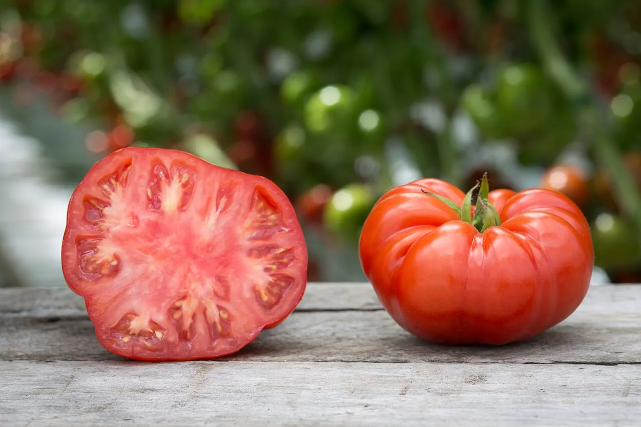 A whole ribbed red beefsteak tomato beside a cut half showing dense flesh, thick walls and many small seed cavities, on a weathered wooden surface.