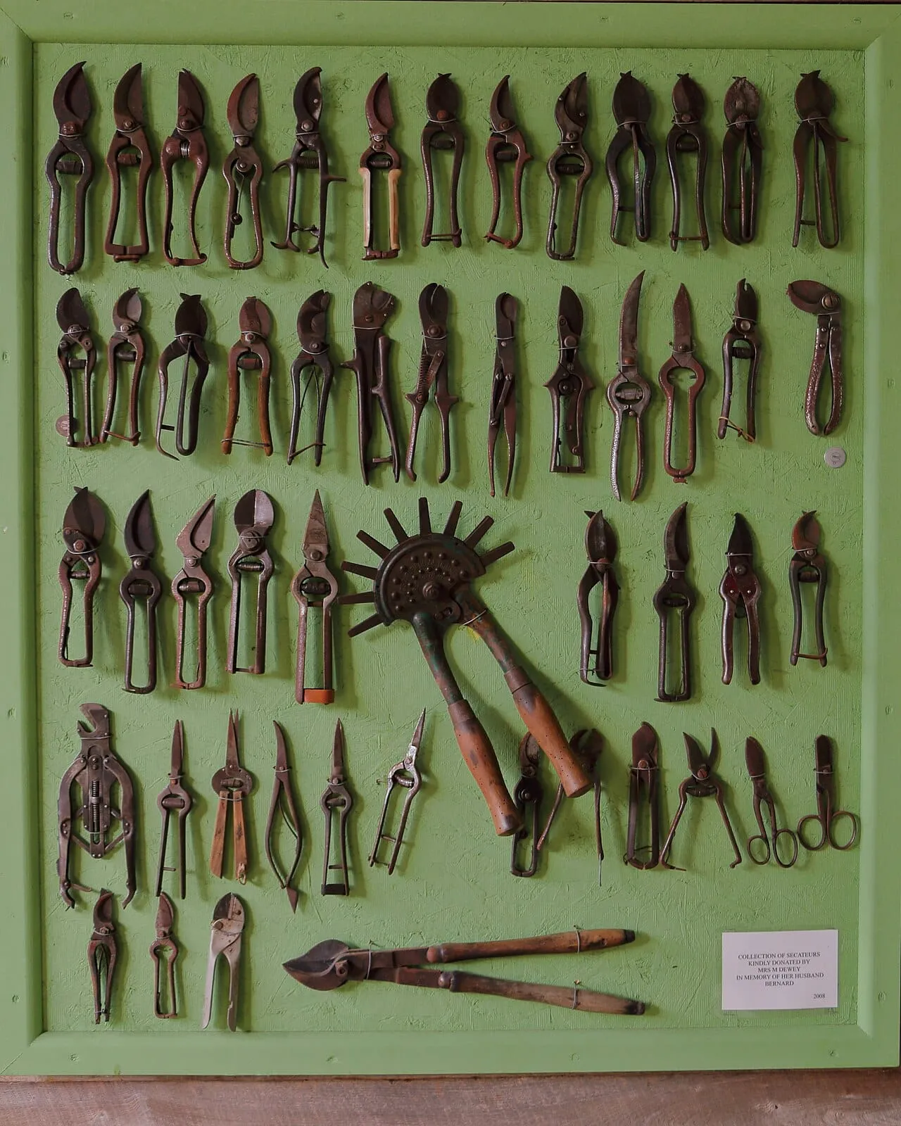 A collection of several pairs of secateurs and pruning shears of different designs laid side by side.
