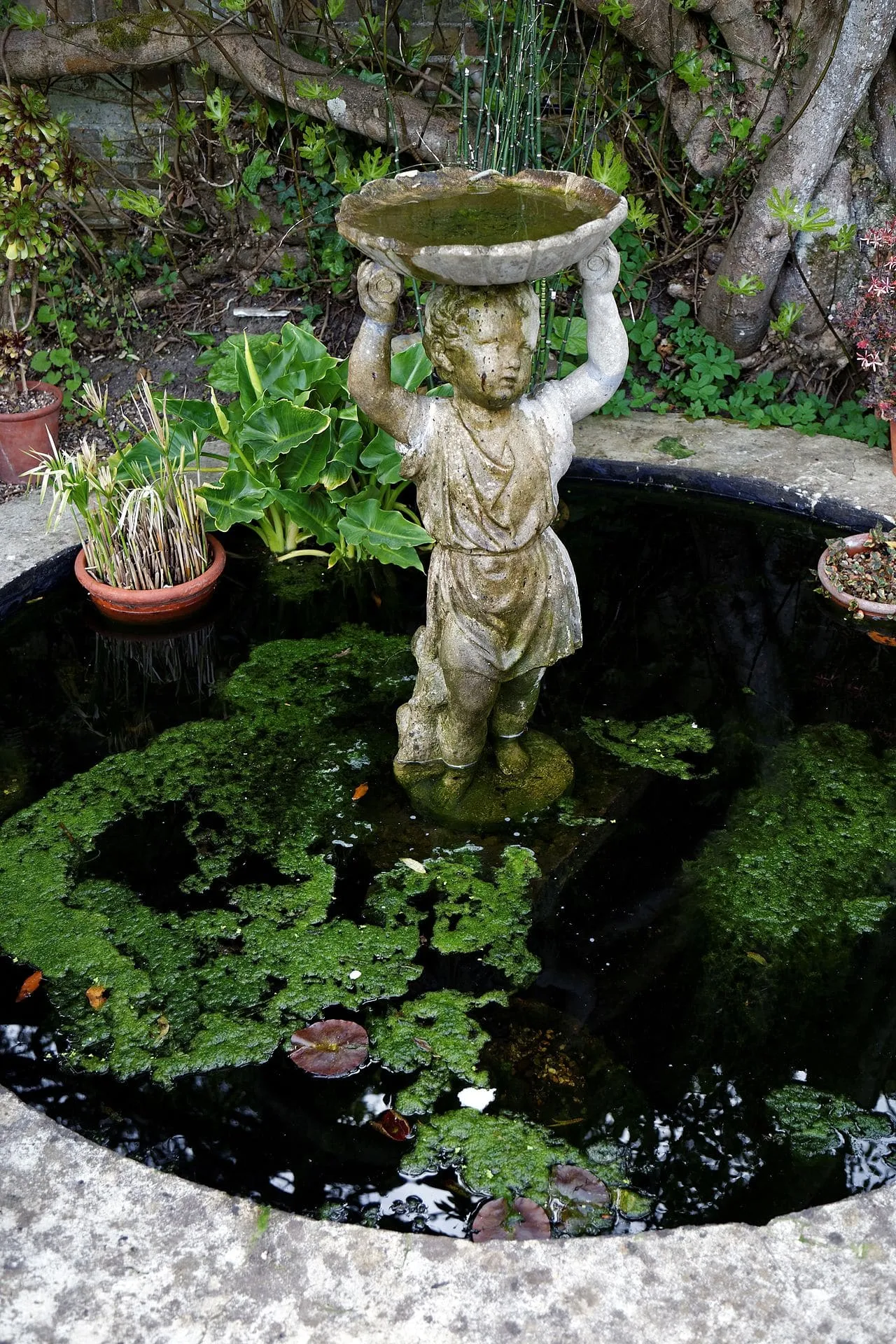 A stone bird bath on a pedestal in a garden beside a small pond.