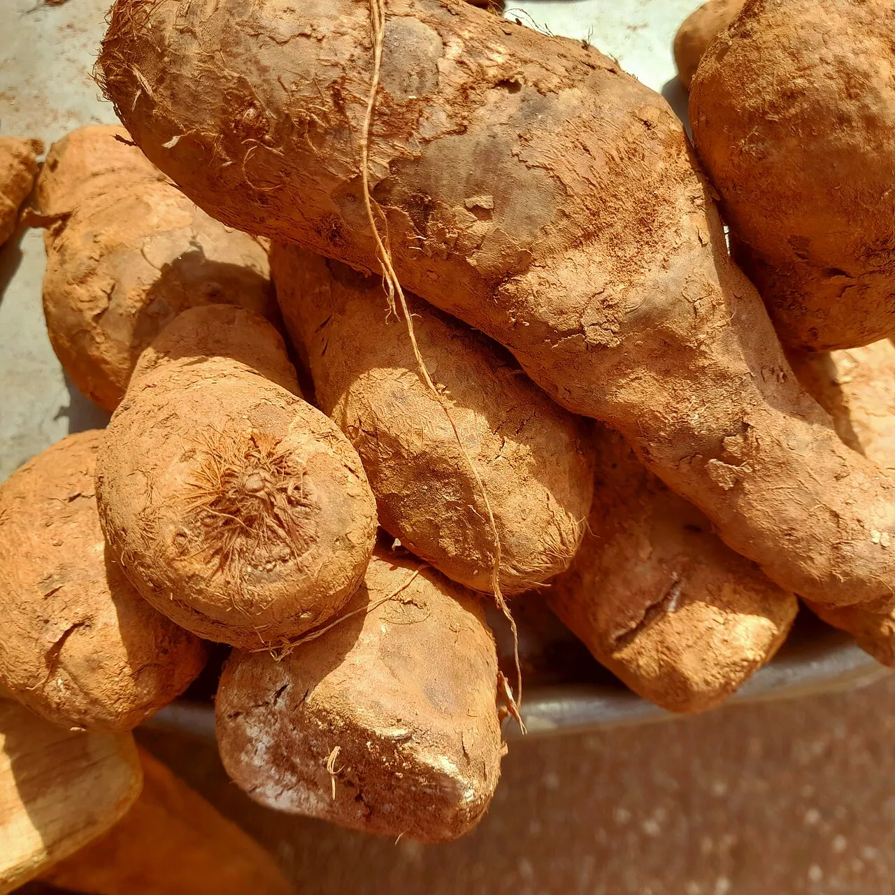 A pile of freshly harvested cassava roots, thick brown tapering tubers with rough bark-like skin, some showing pale flesh where the peel has broken.