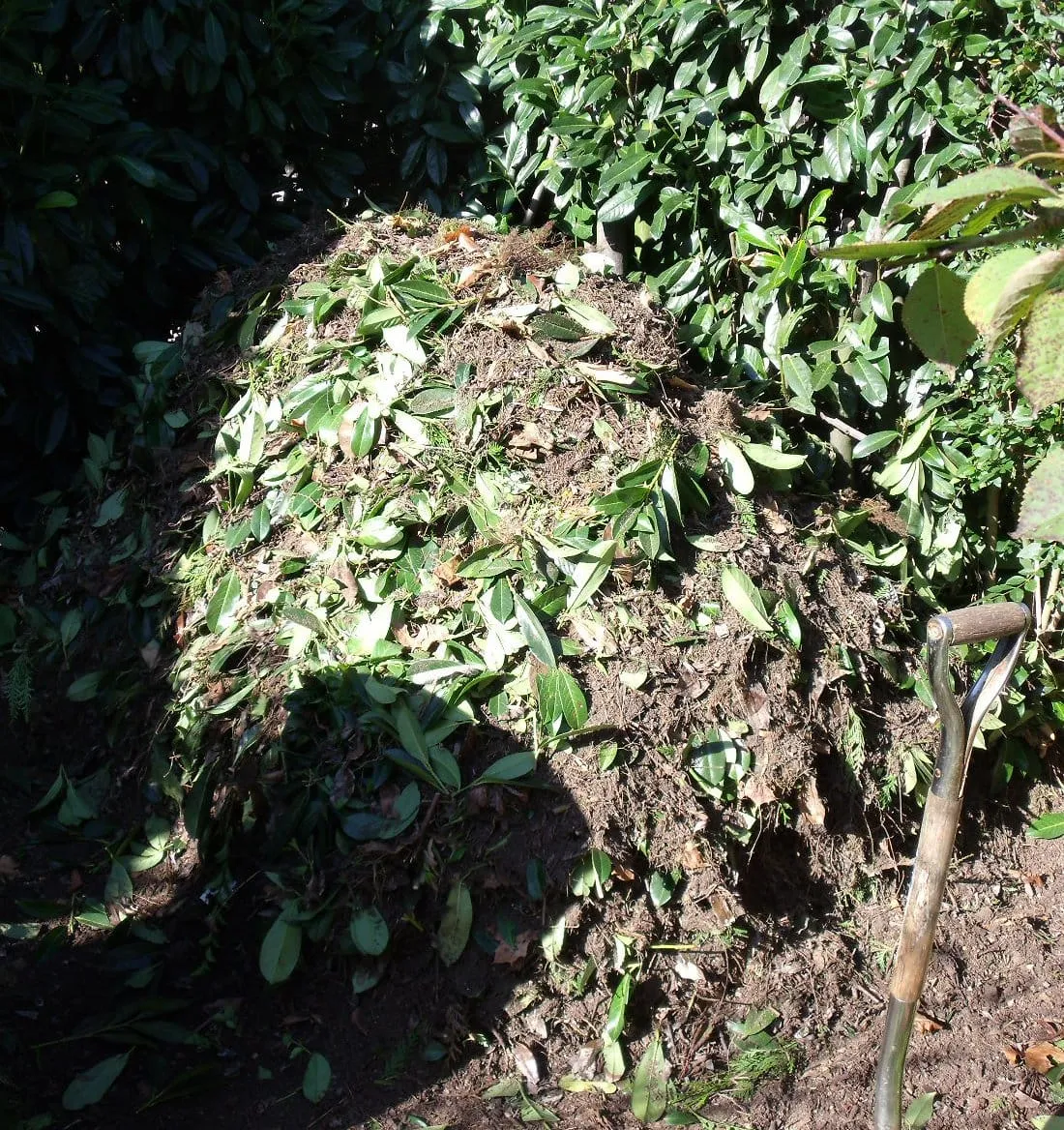 An open compost heap of autumn leaves and garden waste in a wooden bay.