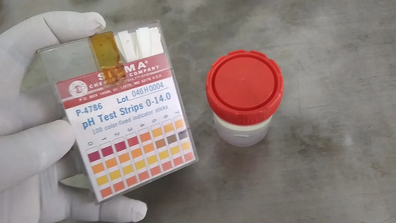 A row of pH indicator test strips showing a colour gradient from red through green to blue.