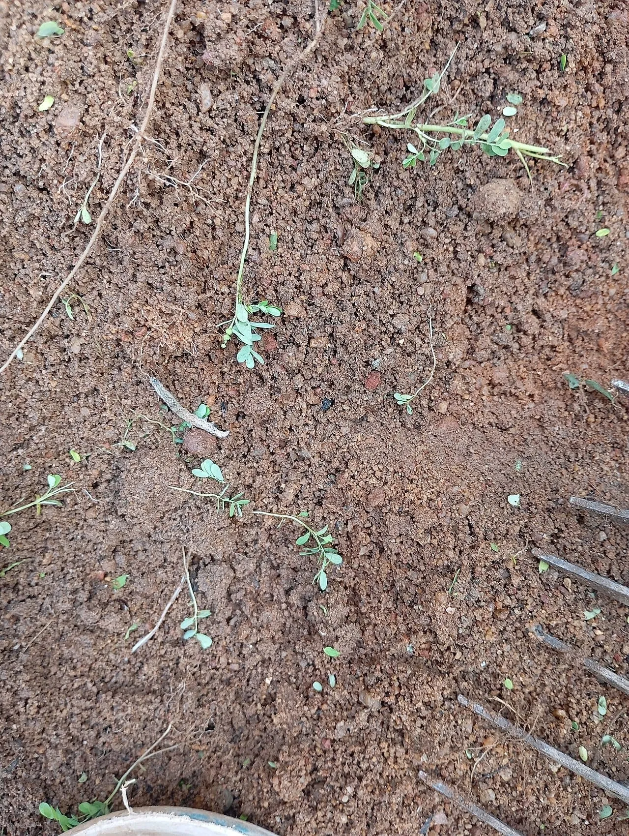 Close view of reddish-brown crumbly soil with fine aggregates, a rake head resting at the edge.